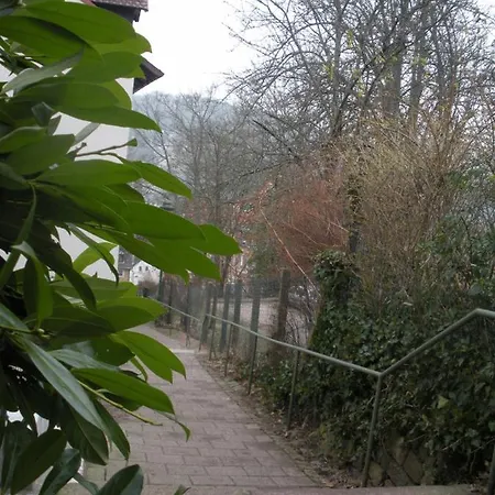 Petite Bellevue * Baden-Baden