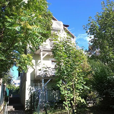 Petite Bellevue